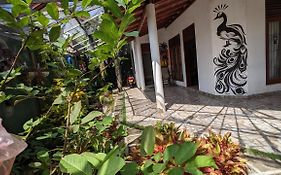 Nathasha Home Stay
